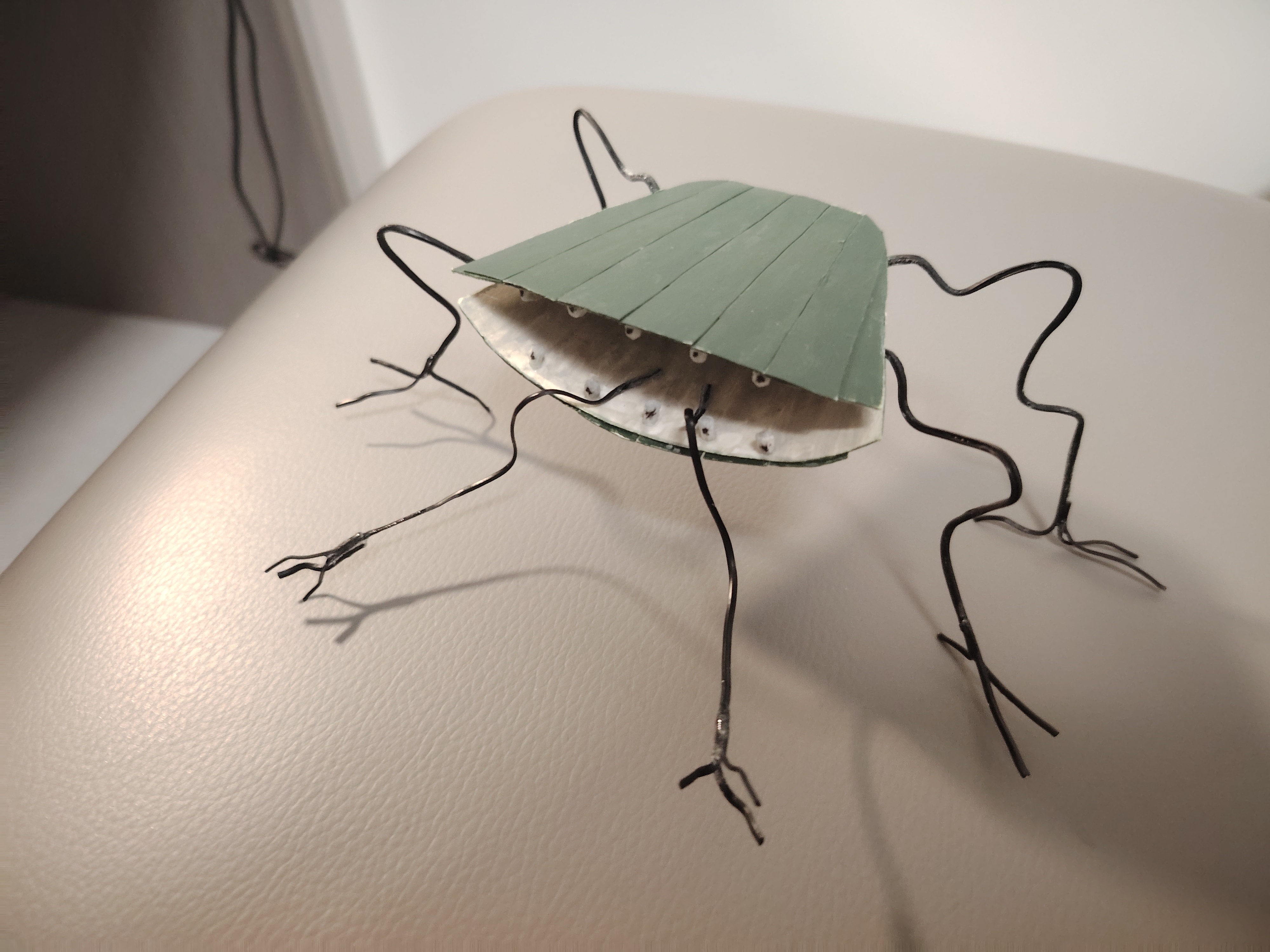 陆行珍珠～_图3