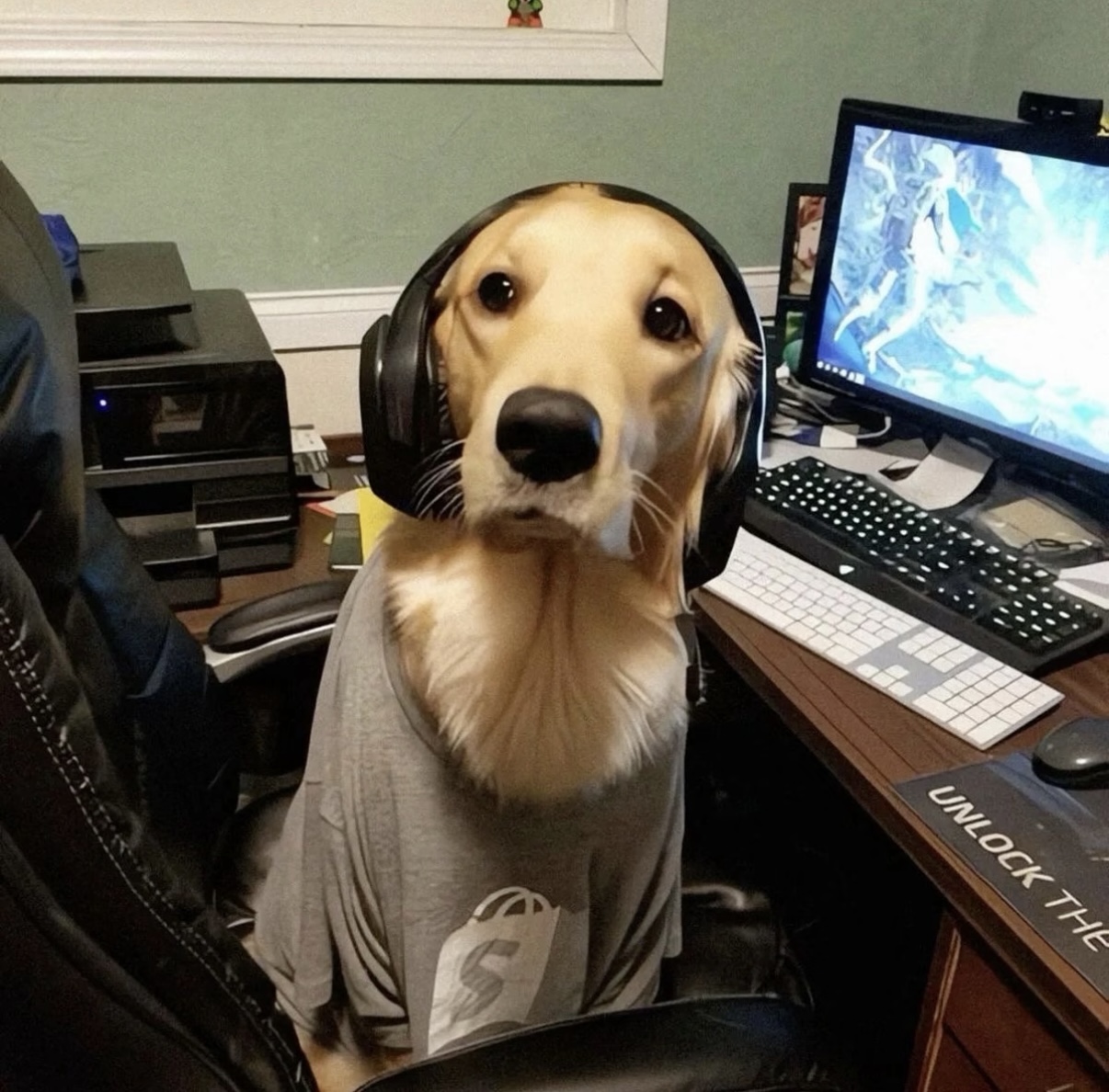 速速上号！—狗meme梗图_图3