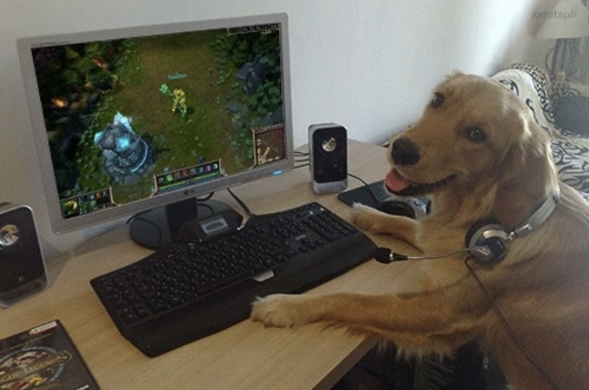 速速上号！—狗meme梗图_图3