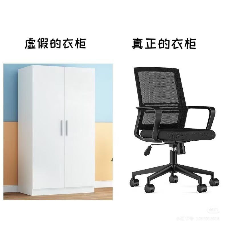 一般人认为向日葵看见的vs实际上向日葵看见的_图3