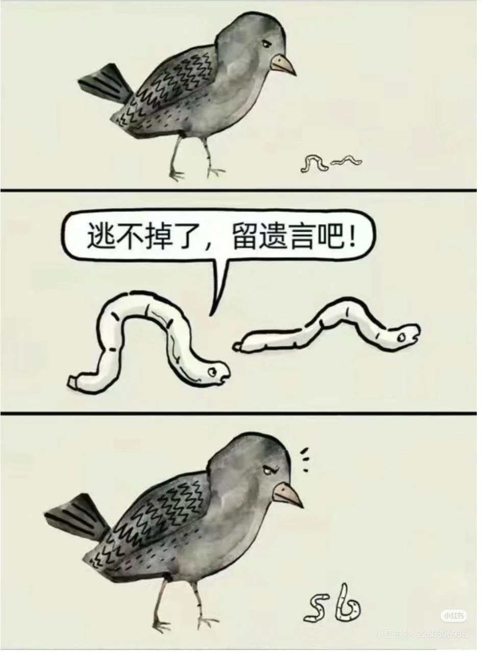 一般人认为向日葵看见的vs实际上向日葵看见的_图3