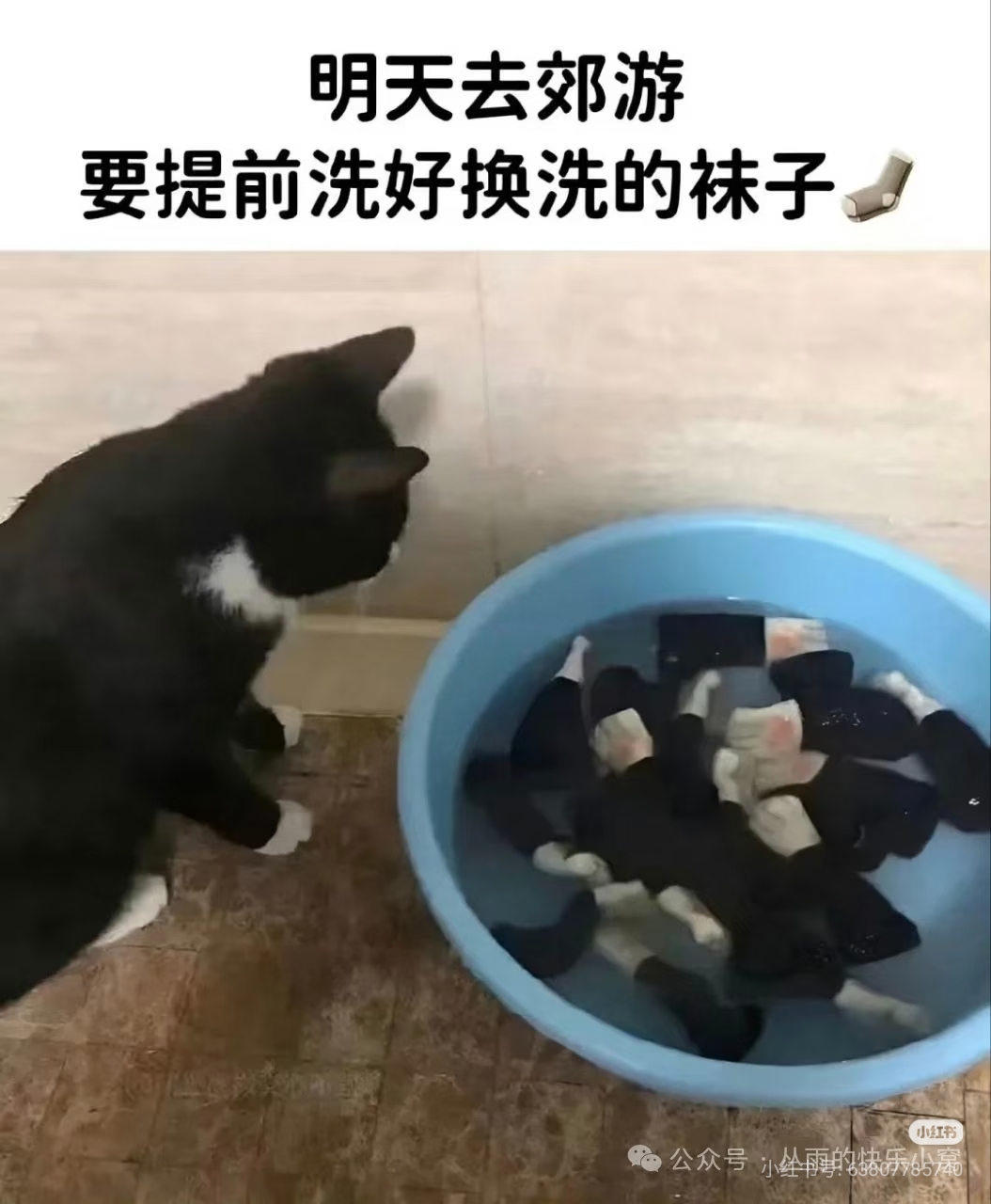 导员:“旷课？”“走”_图3