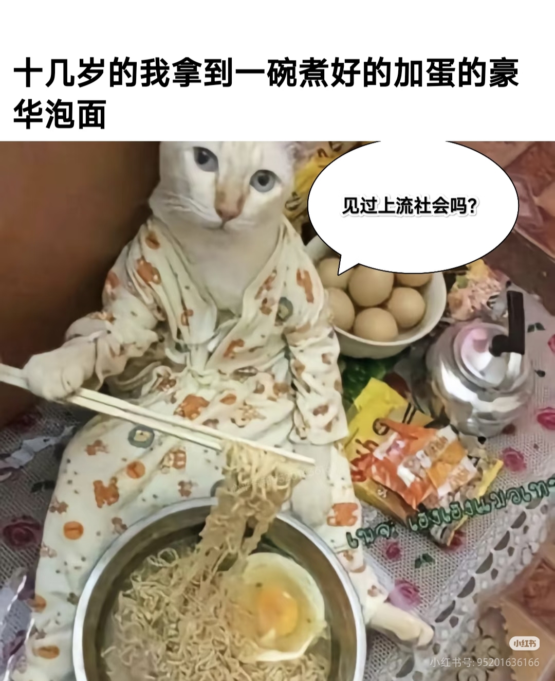 猫的胜利——猫meme梗图分享_图3