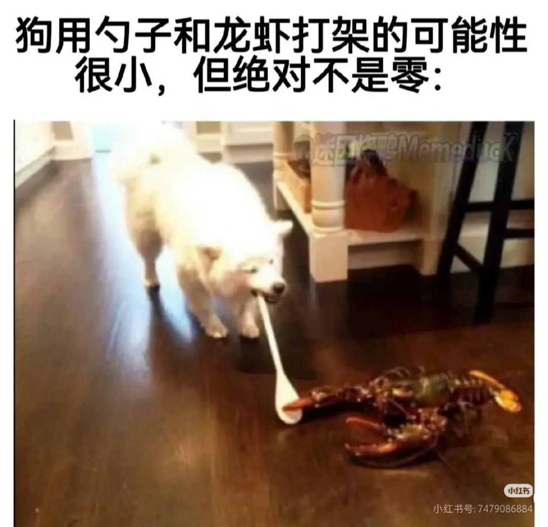 被迫早起时我的表情_图3