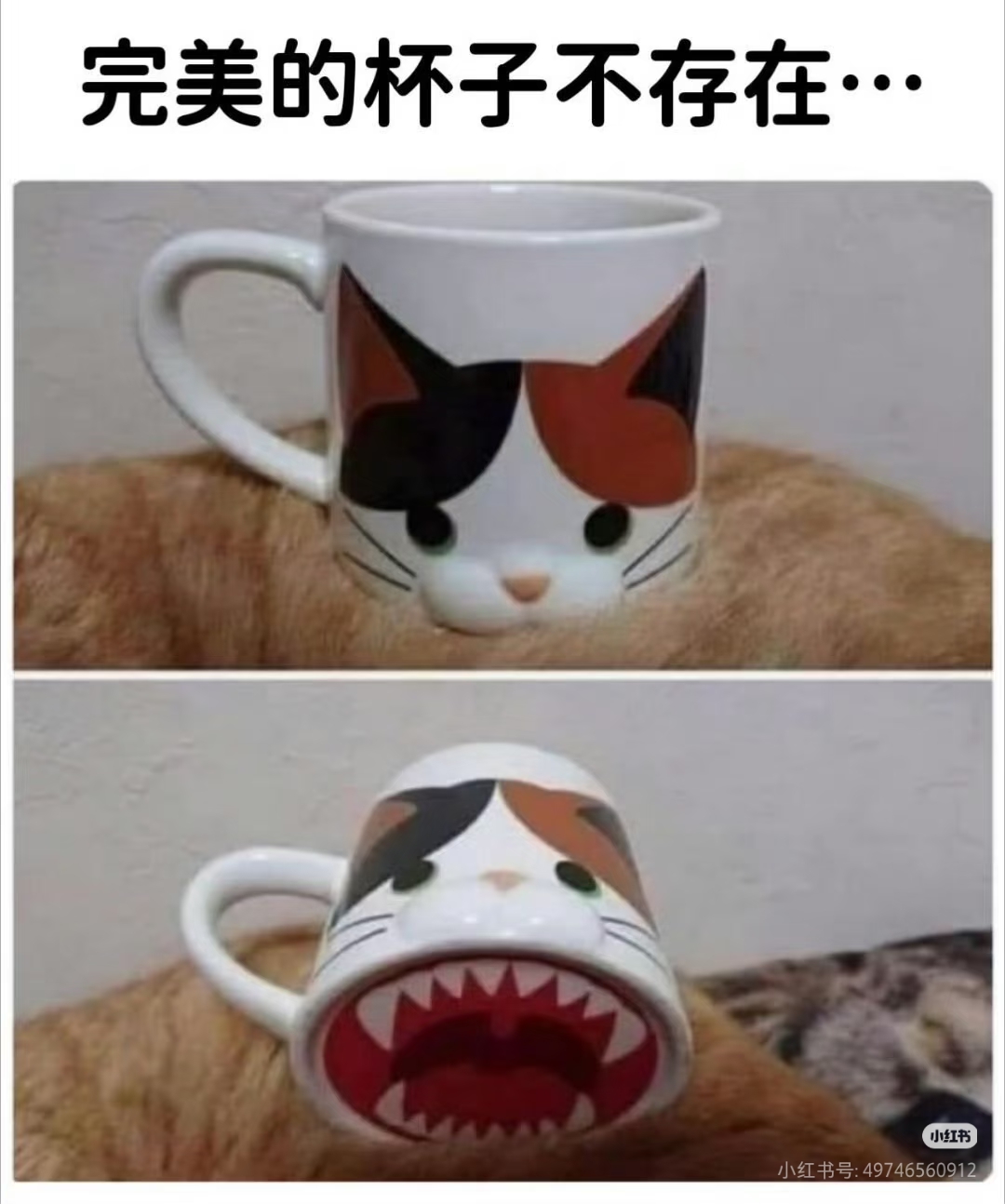 完美的杯子是不存在的_图3