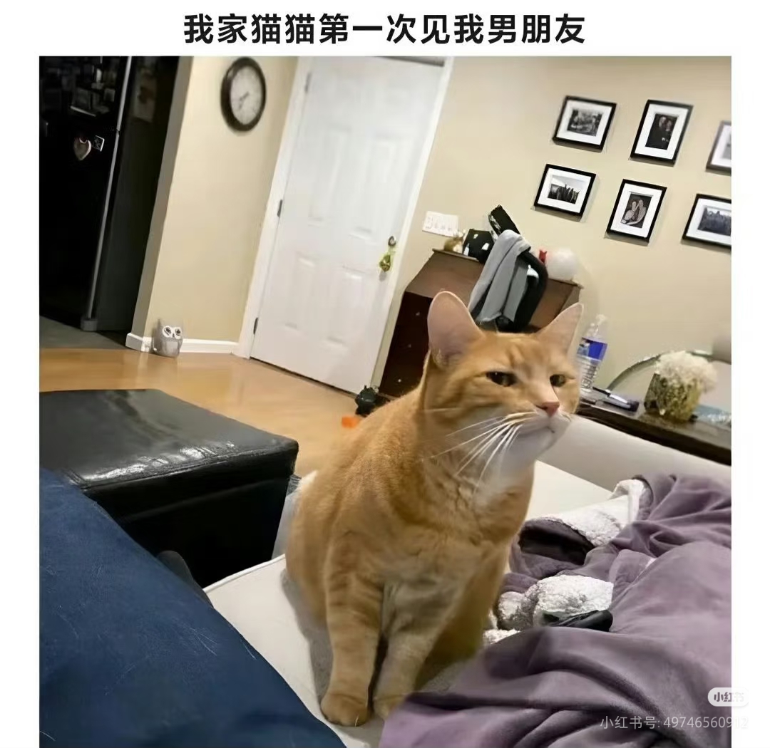 完美的杯子是不存在的_图3