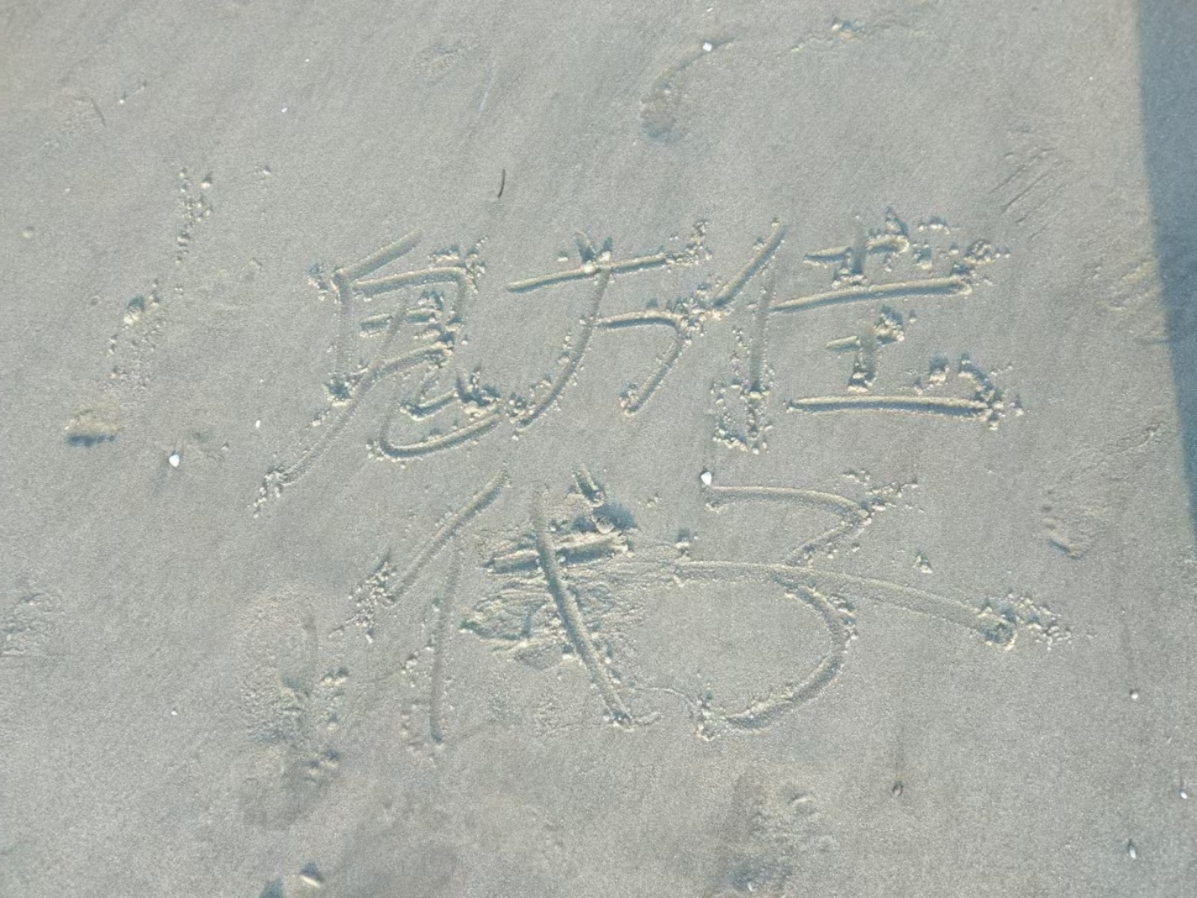 大海和你我都喜欢_图2