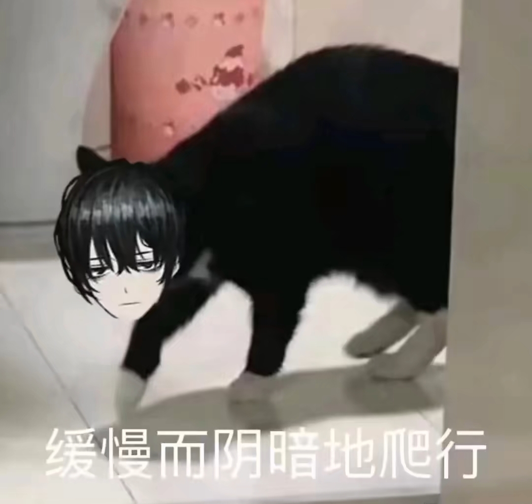 为·头·框最后一天了，我还有机会吗？_图3