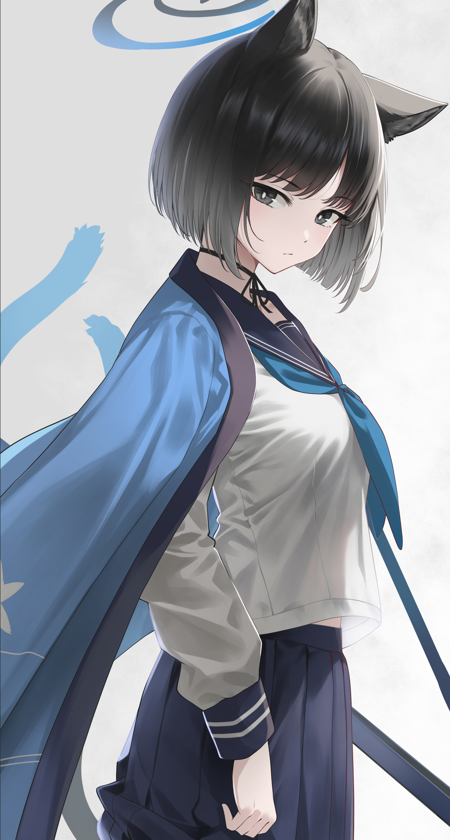 蓝色猫猫~_图3