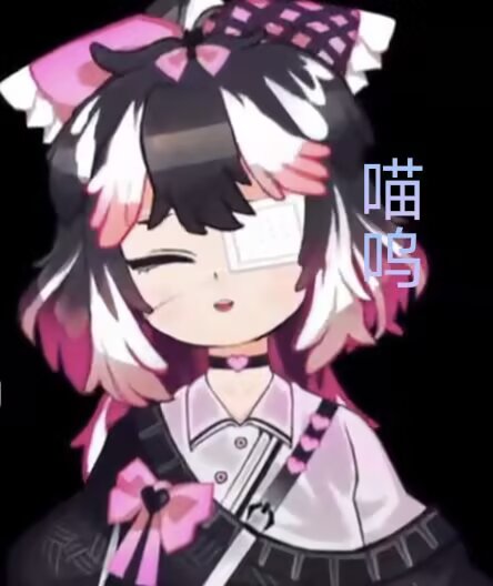 小金喵～～～_图3