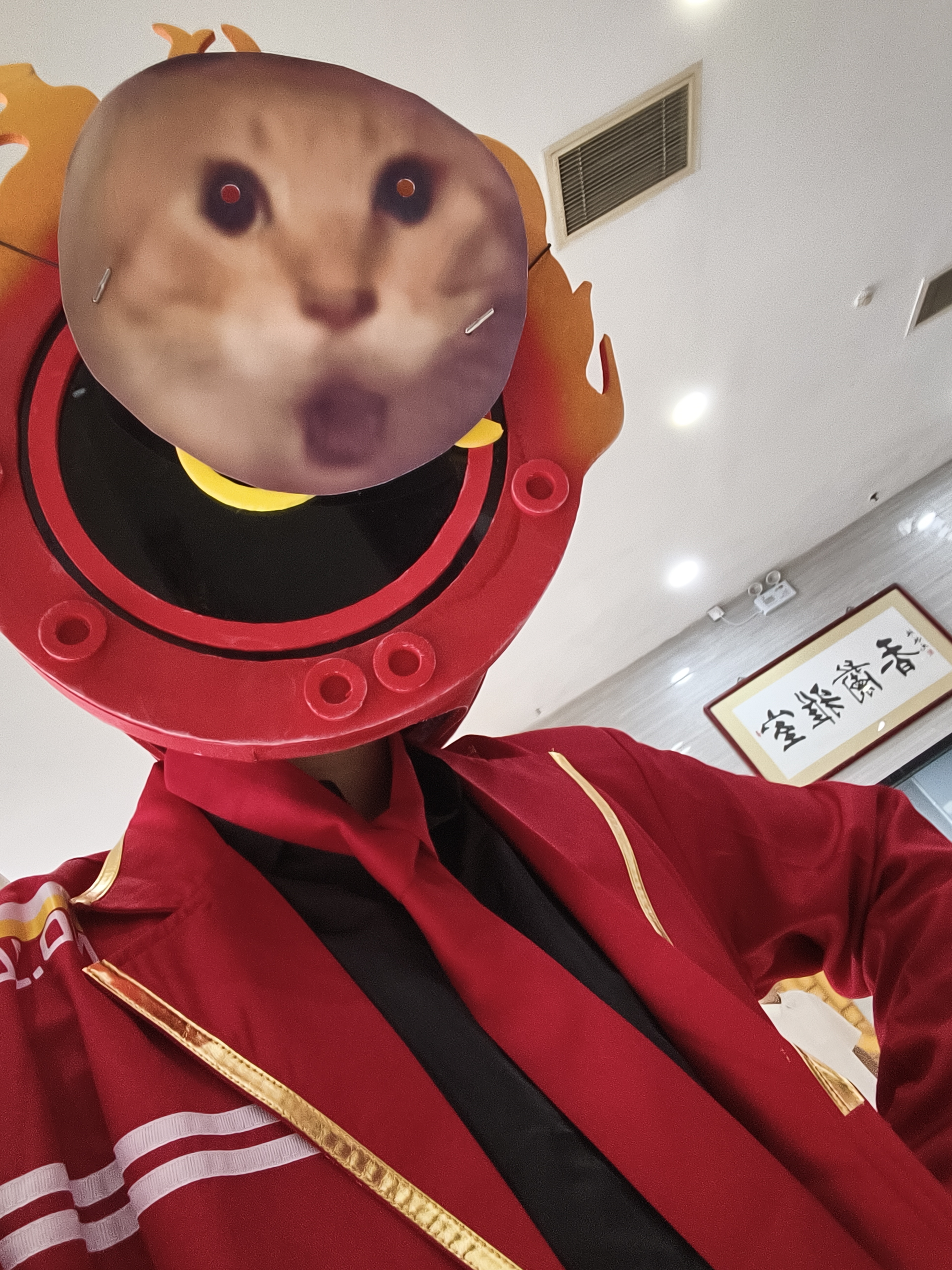 哈气的但丁_图3