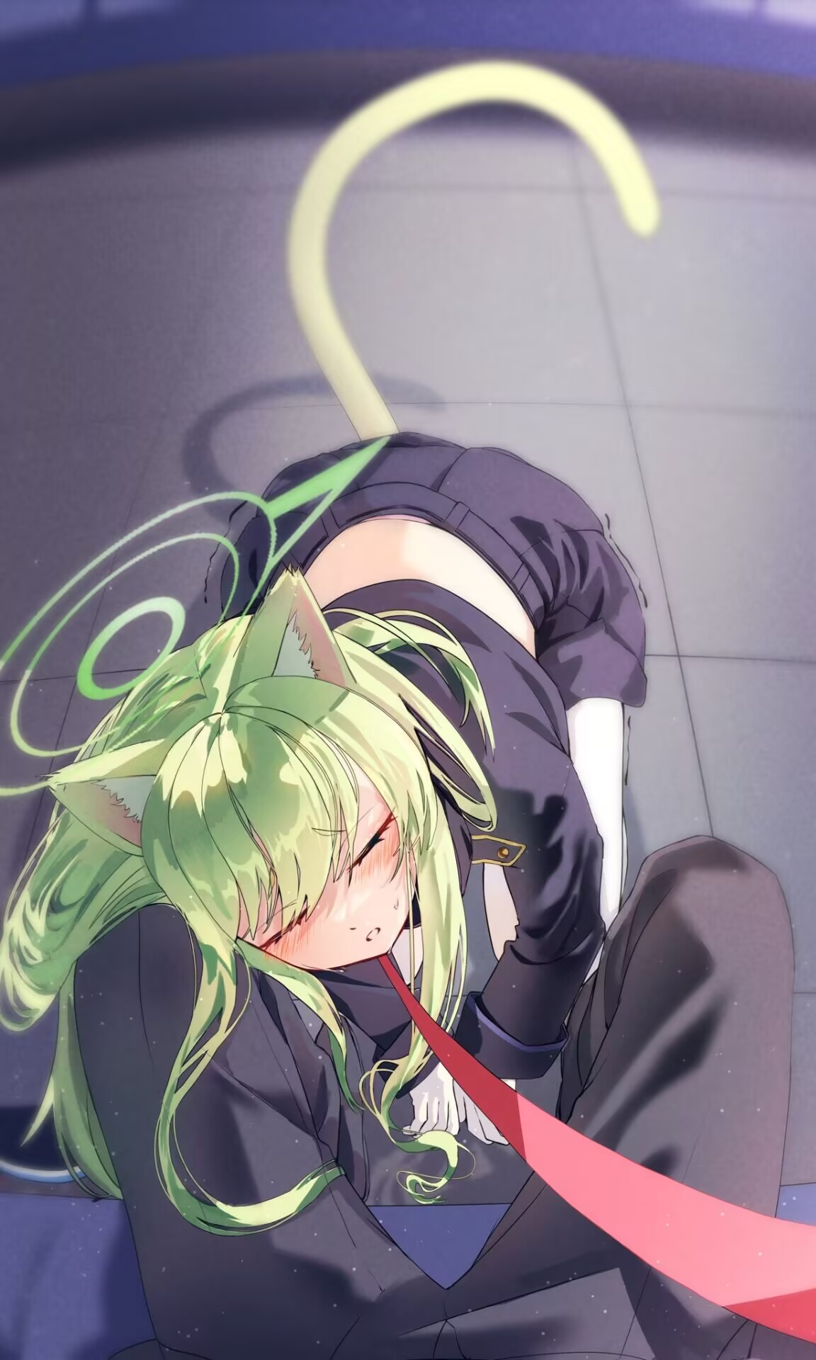 每天摸一摸小猫_图1