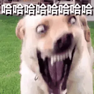4周年逆天概率_图1