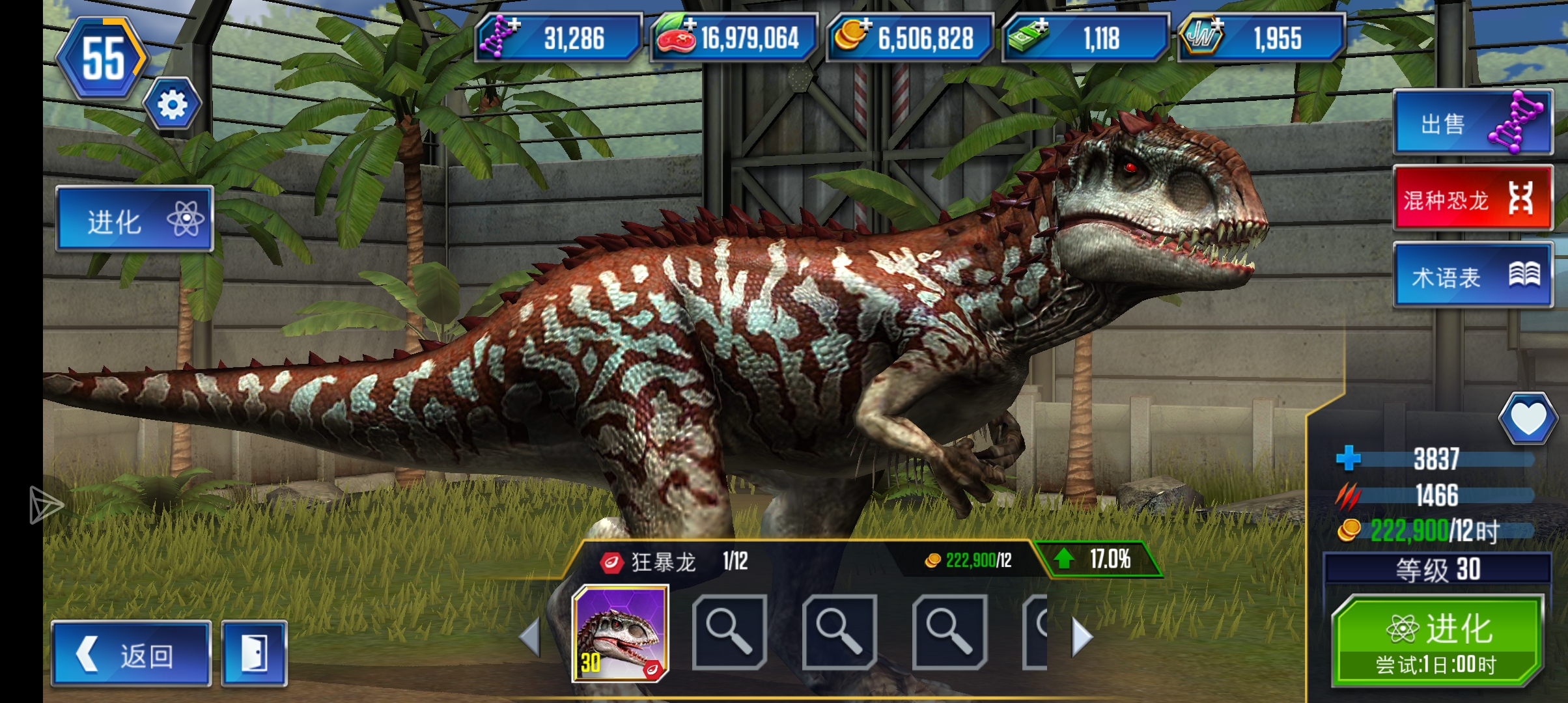 接下来该干什么求指点_图1