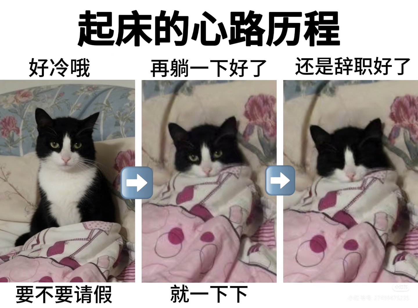 起床的心路历程_图3