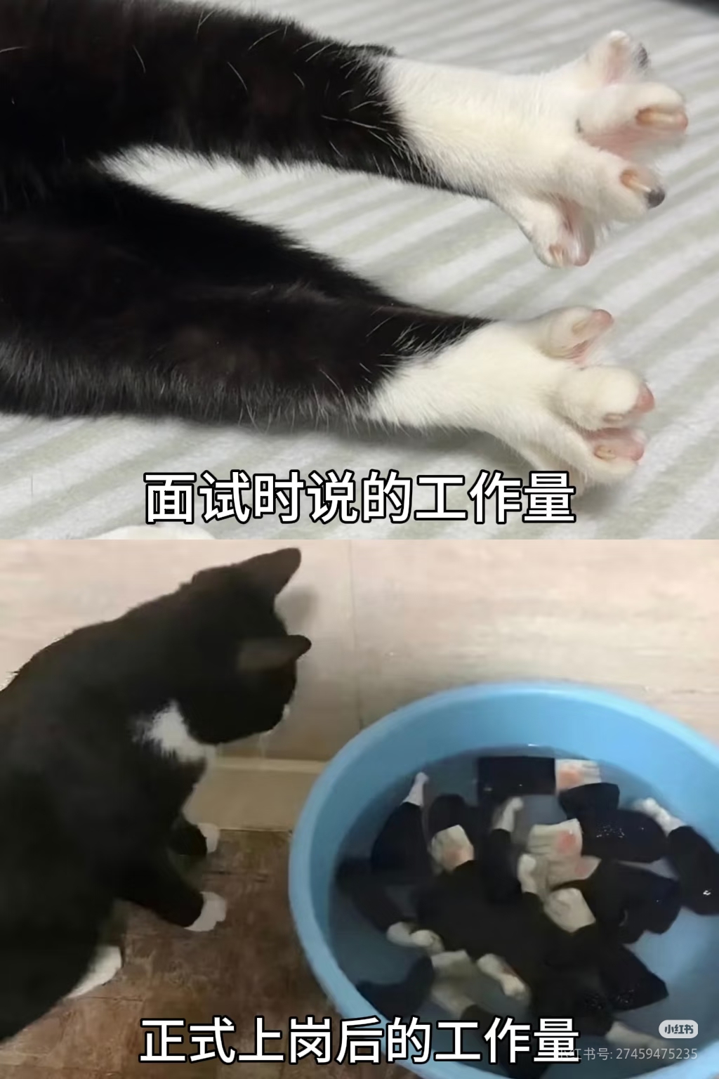 起床的心路历程_图3