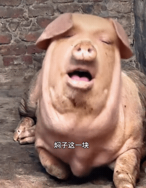 标题五个字_图3