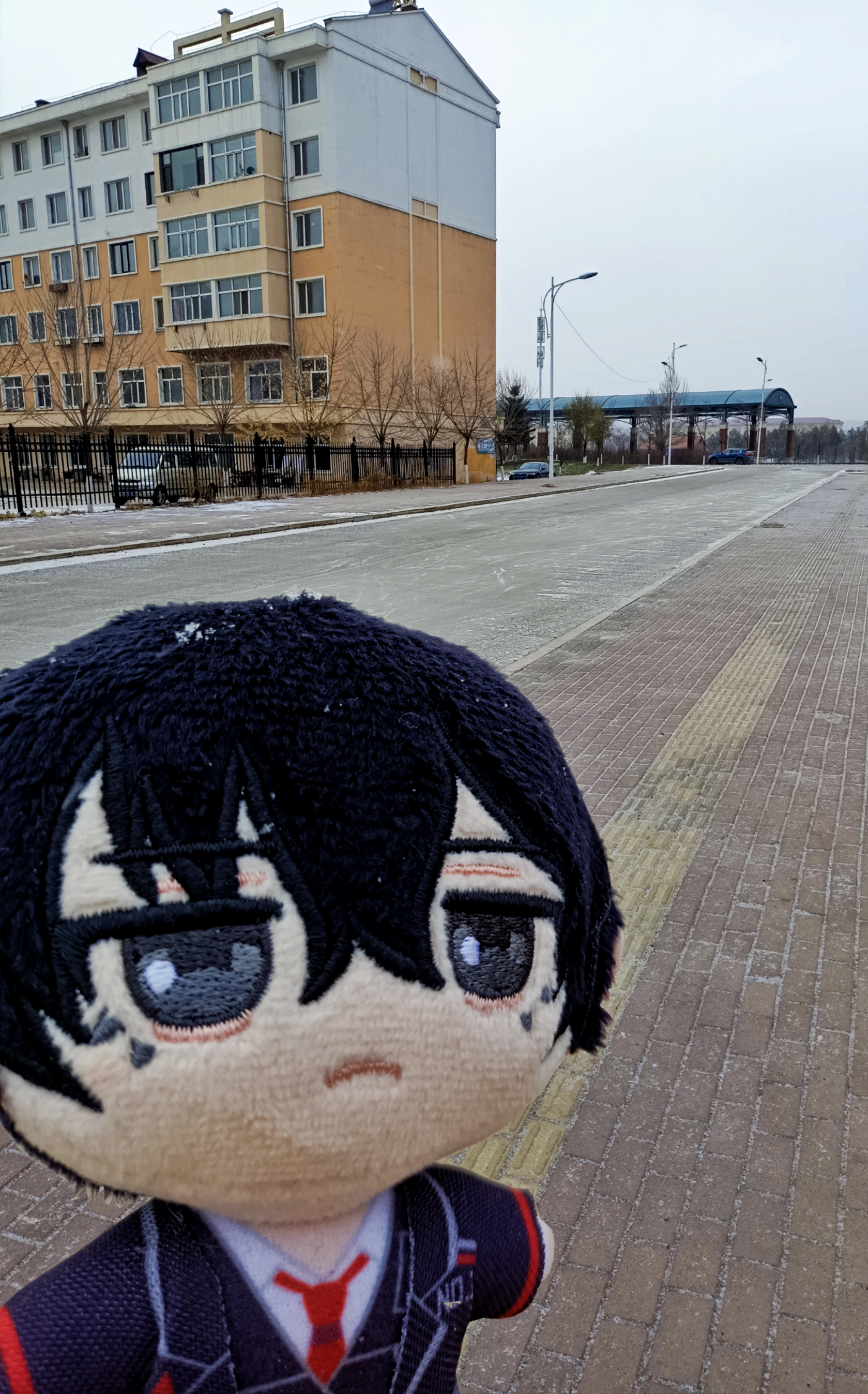 来晒一下自家努吧☺️🌸_图1