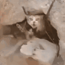 对于现在的萝卜肉丝的各位玩家be like：_图1