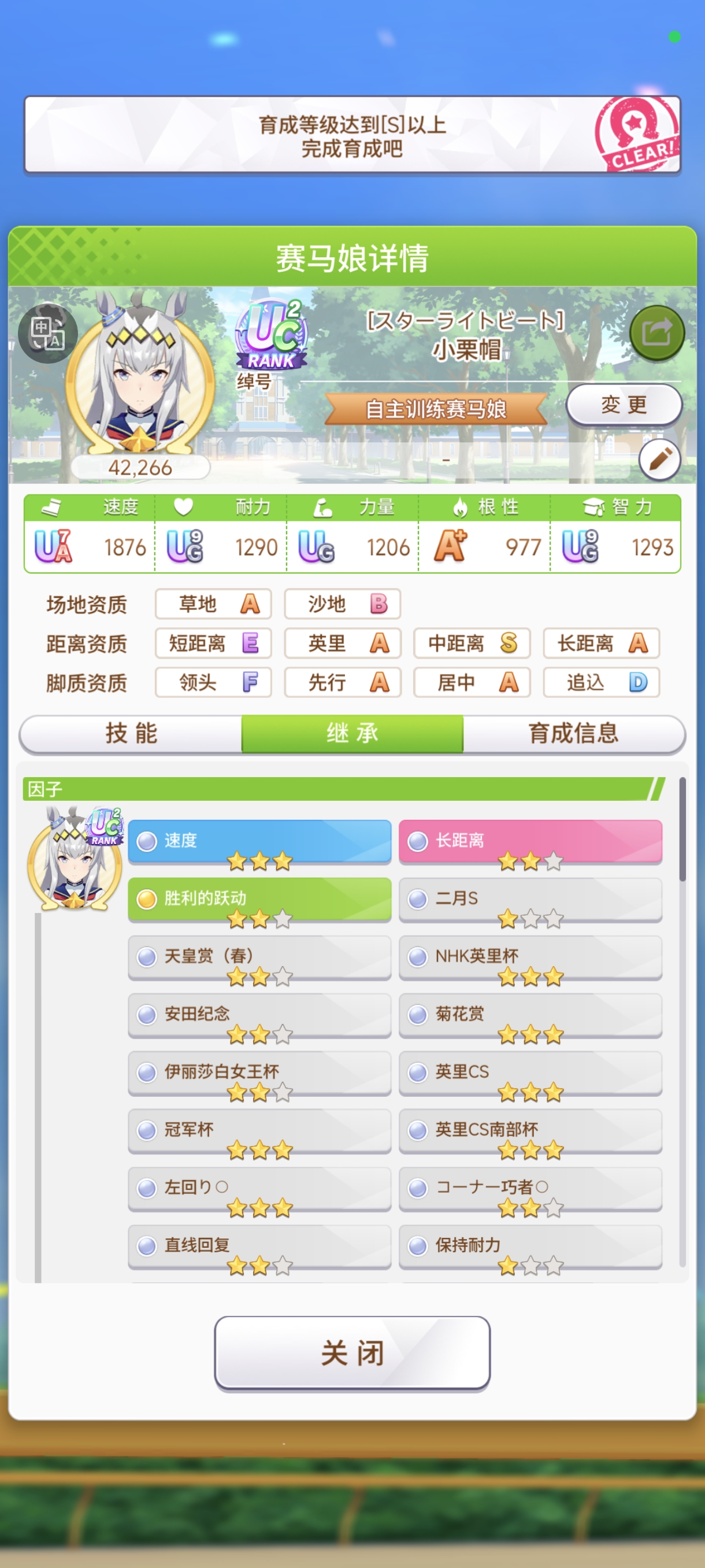 帮我看看这个种马好不好_图3