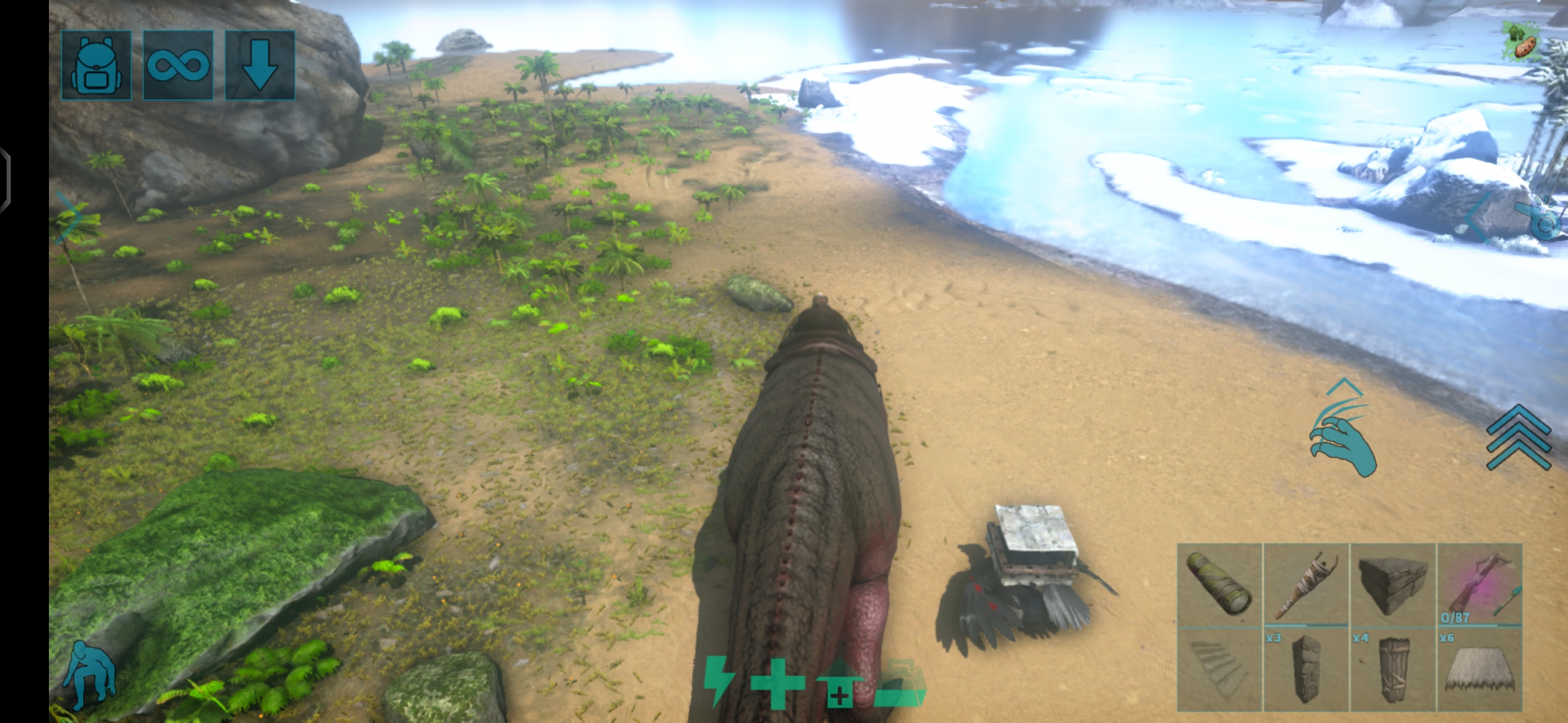 阿根廷巨鹰_图1