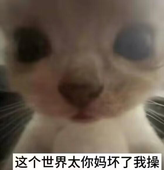 我想根jjc_图2