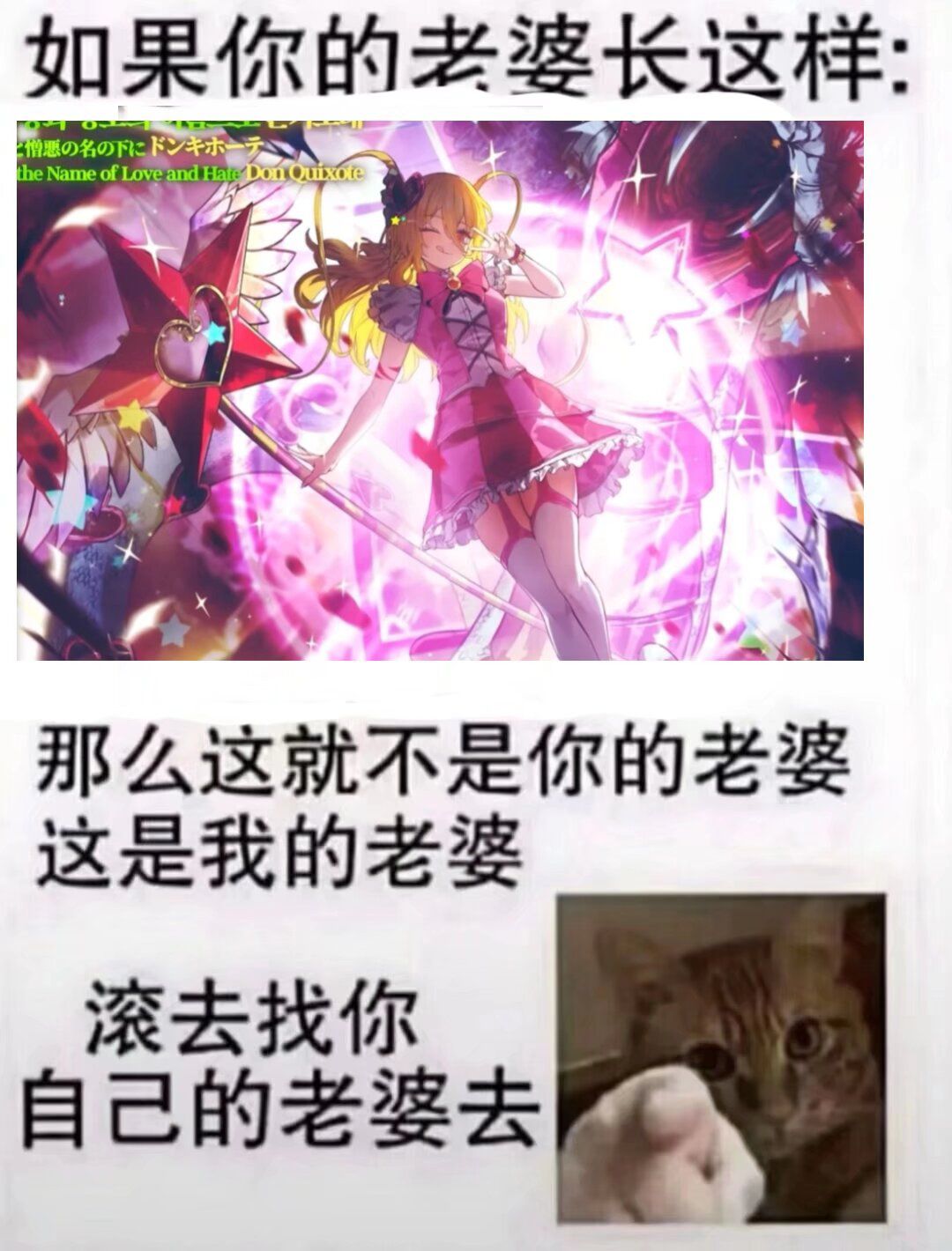 终于到瓦夜了我的小唐，我的可可爱爱香香软软的小唐哈哈哈哈哈哈哈哈哈哈(傻笑)_图1