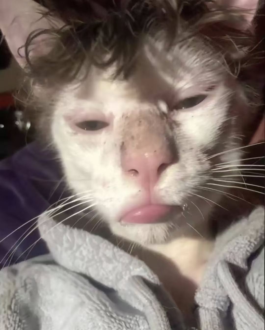 可以帮周年庆代签，暂时只接steam_图1