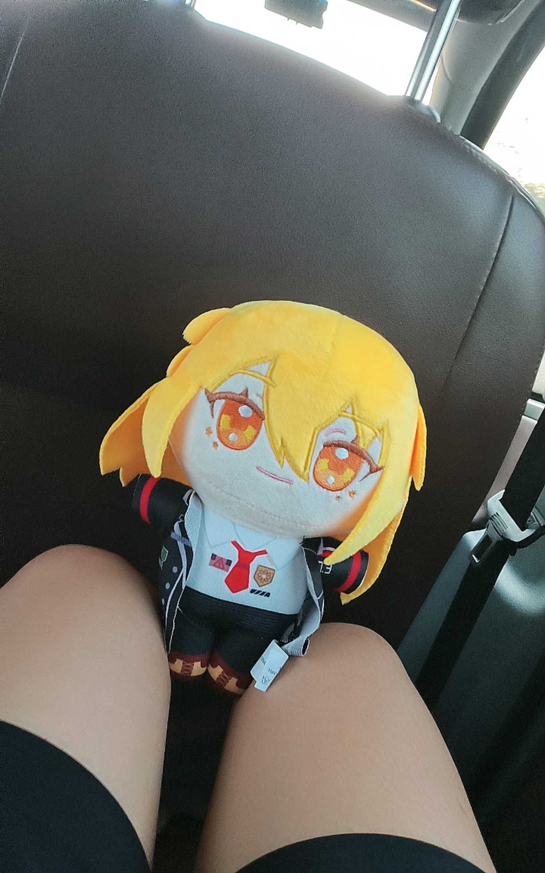 领养一只小唐。_图2