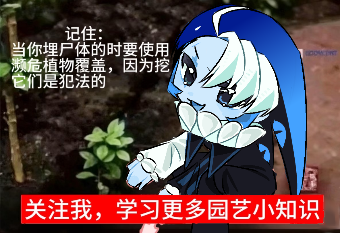 黑色奶奶梗图_图3