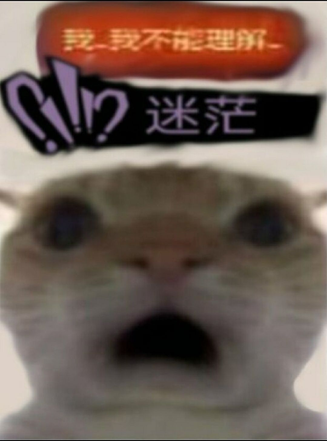 我服了，何.意.味_图2