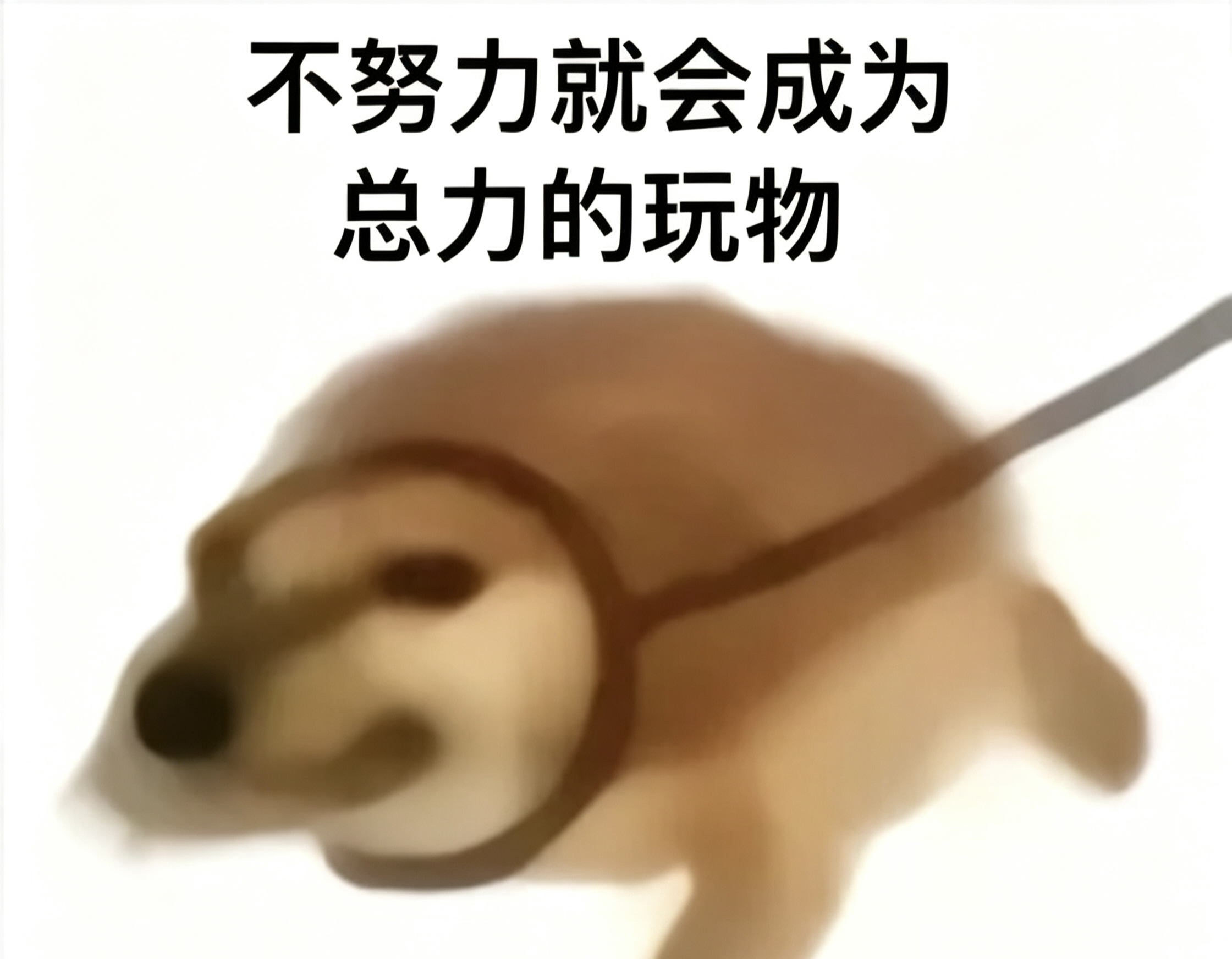 我已经是这种状态了_图1