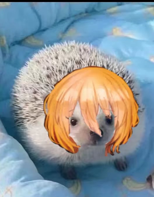 这镜牢咋打啊😭_图1