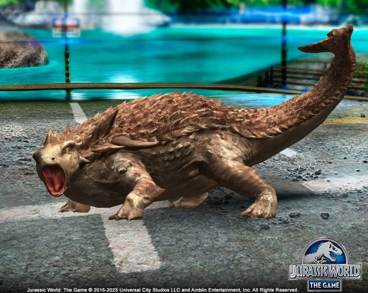 下周锦标赛_图1