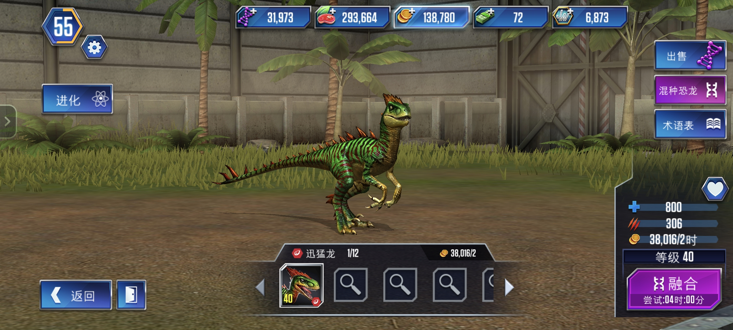 小号也玩了差不多二十天了，也是快做出狂暴龙了，我感觉我的进度算快了。_图3