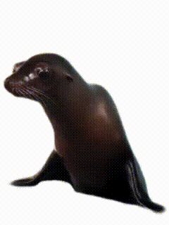 虽然打到了凌晨，但看到伤害时还是很兴奋！_图3