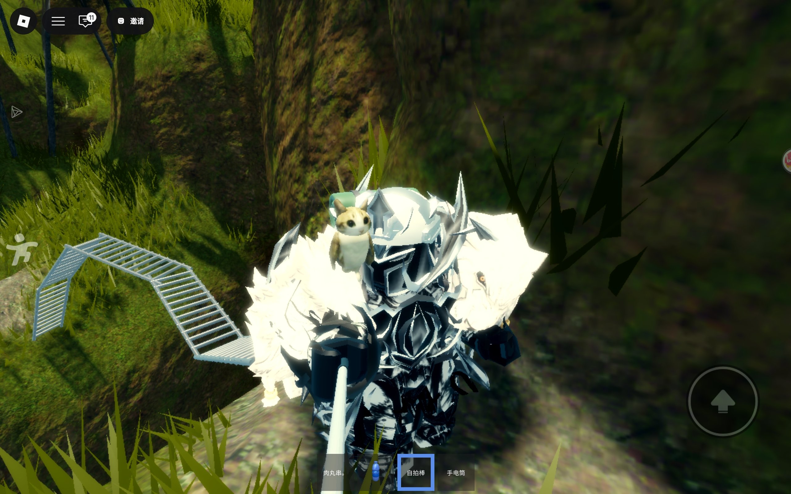 罗布乐思里旅游_图3