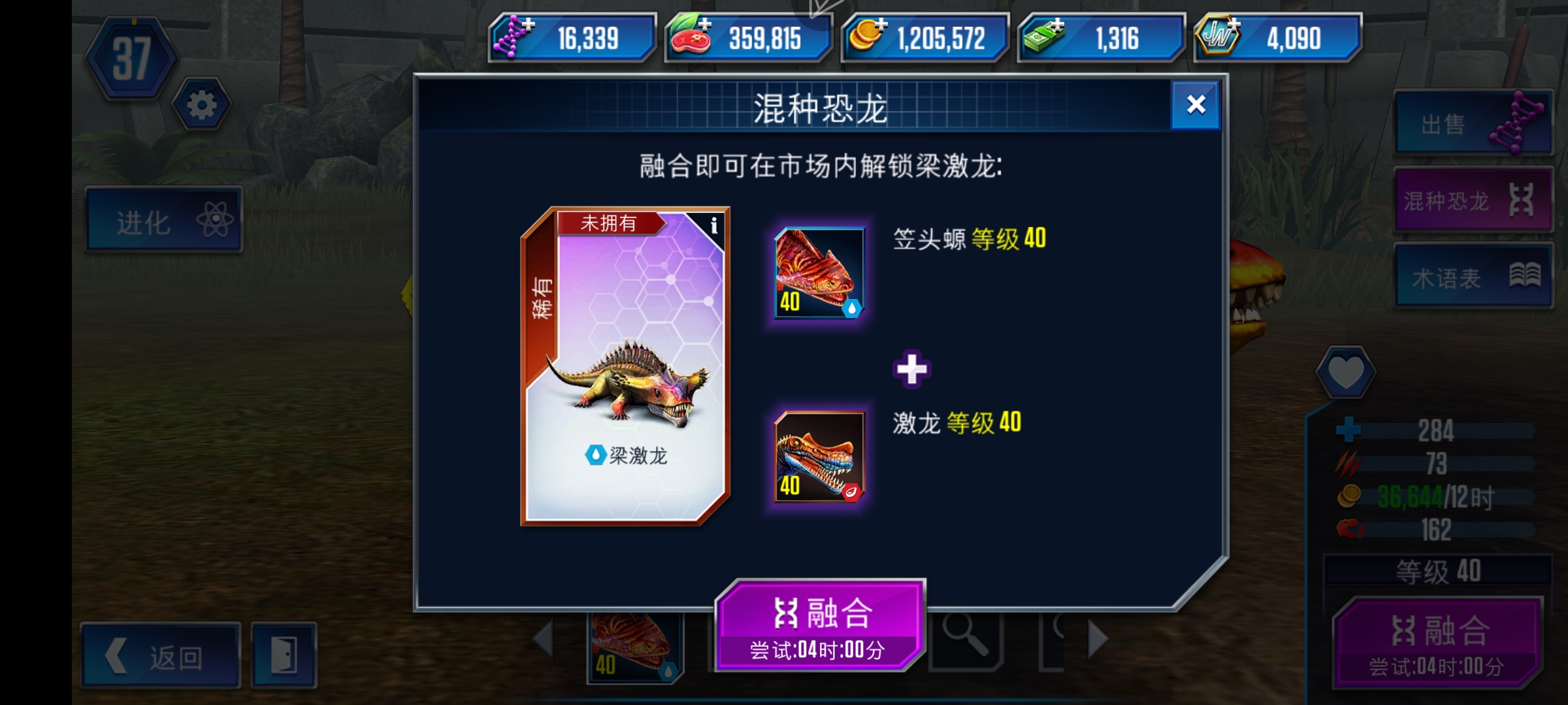 这个龙要合吗_图1
