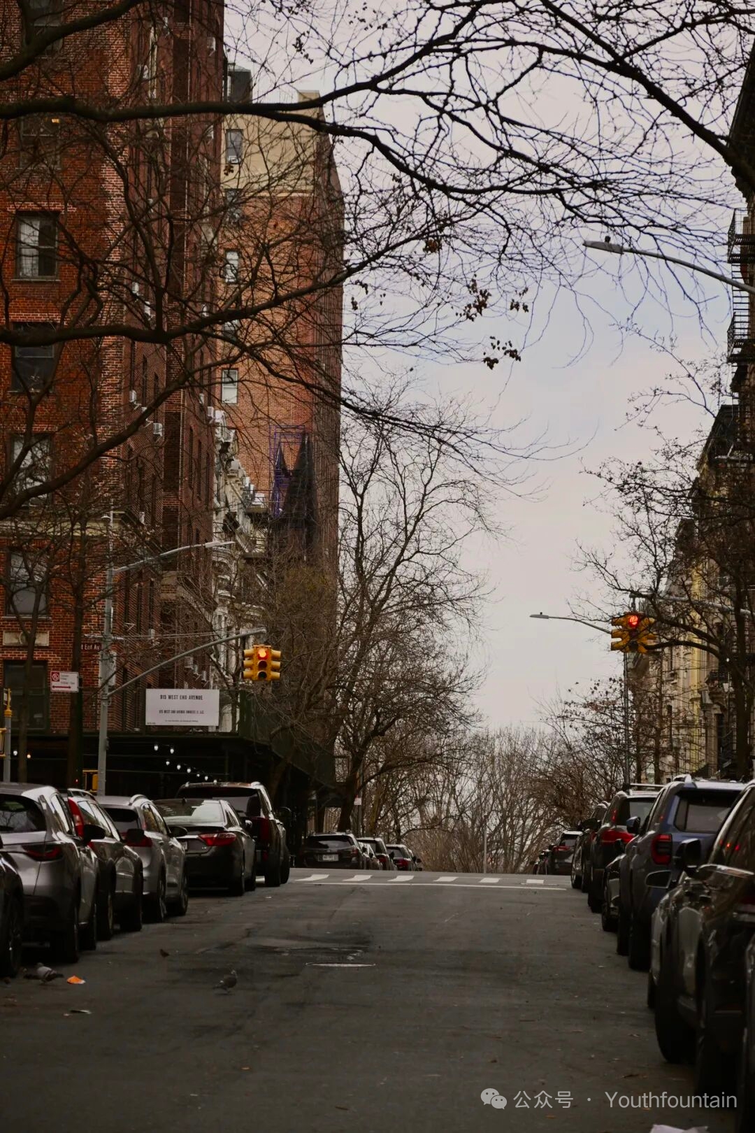 北大西洋的雪_图3