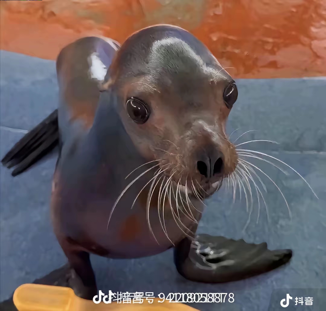 国服玩家，免费送绝版核桃_图1