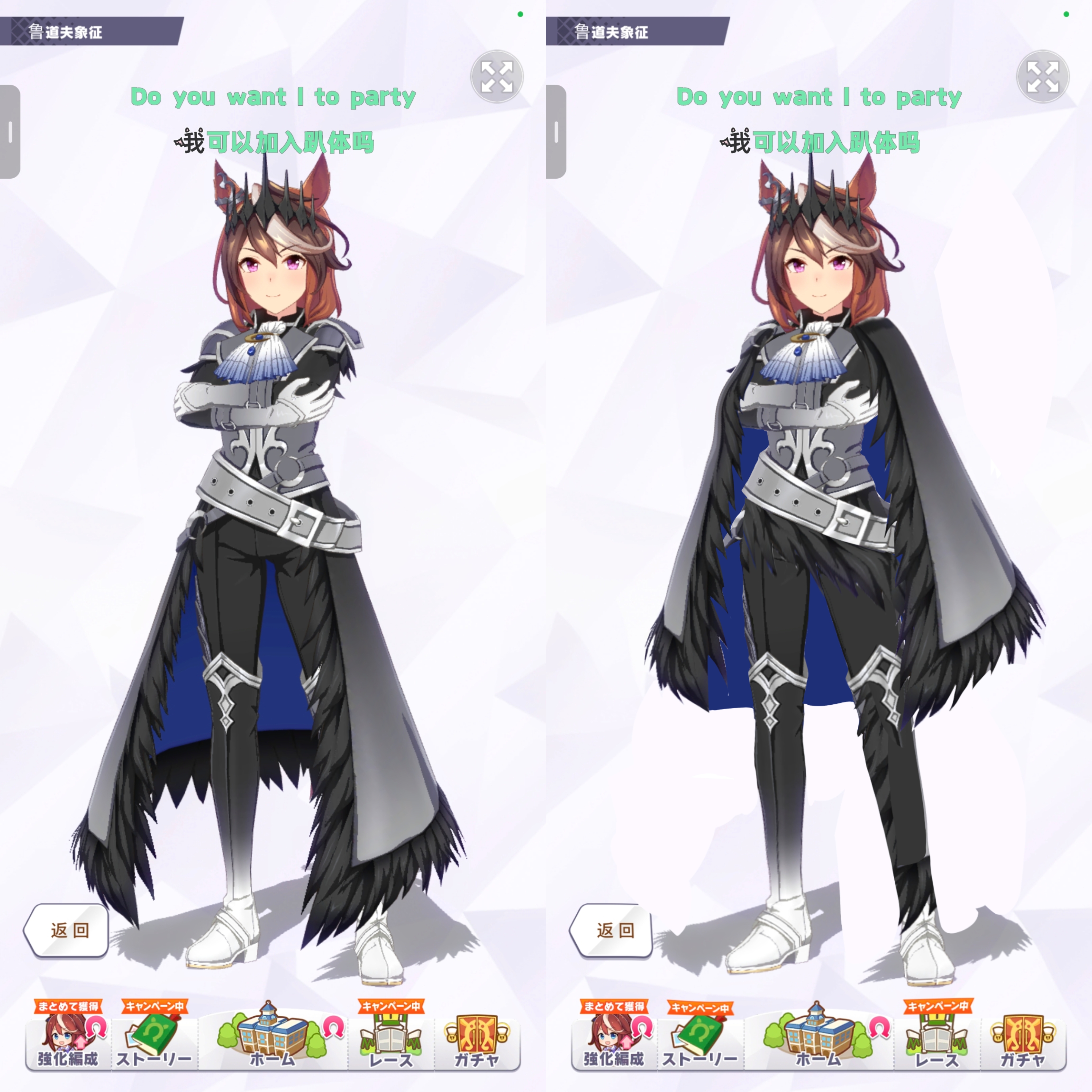 养马咪^ω^_图1