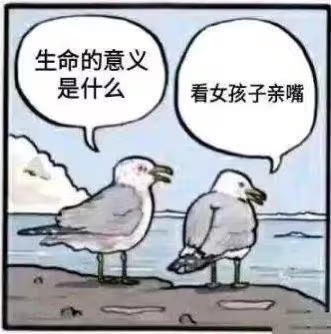 别在死催就行_图2