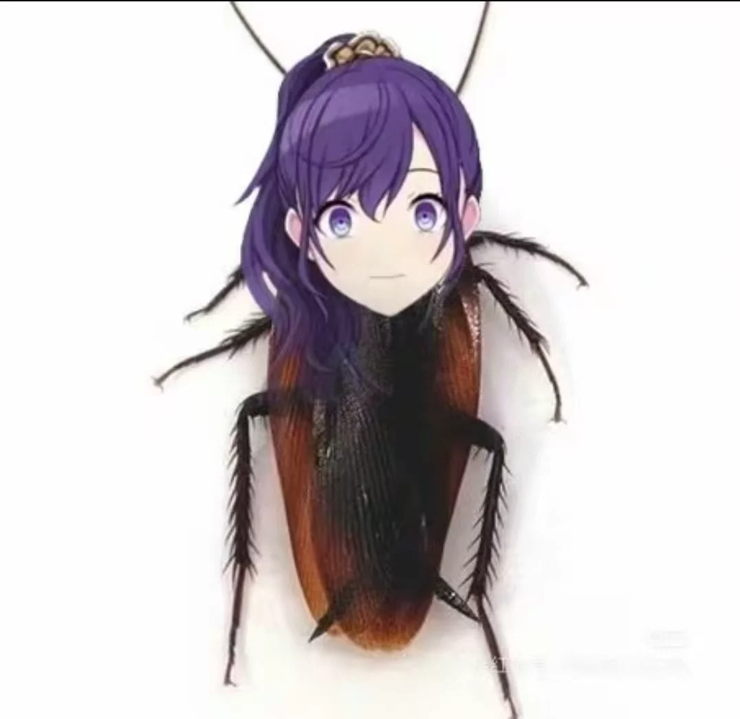 25点，蟑螂见_图3