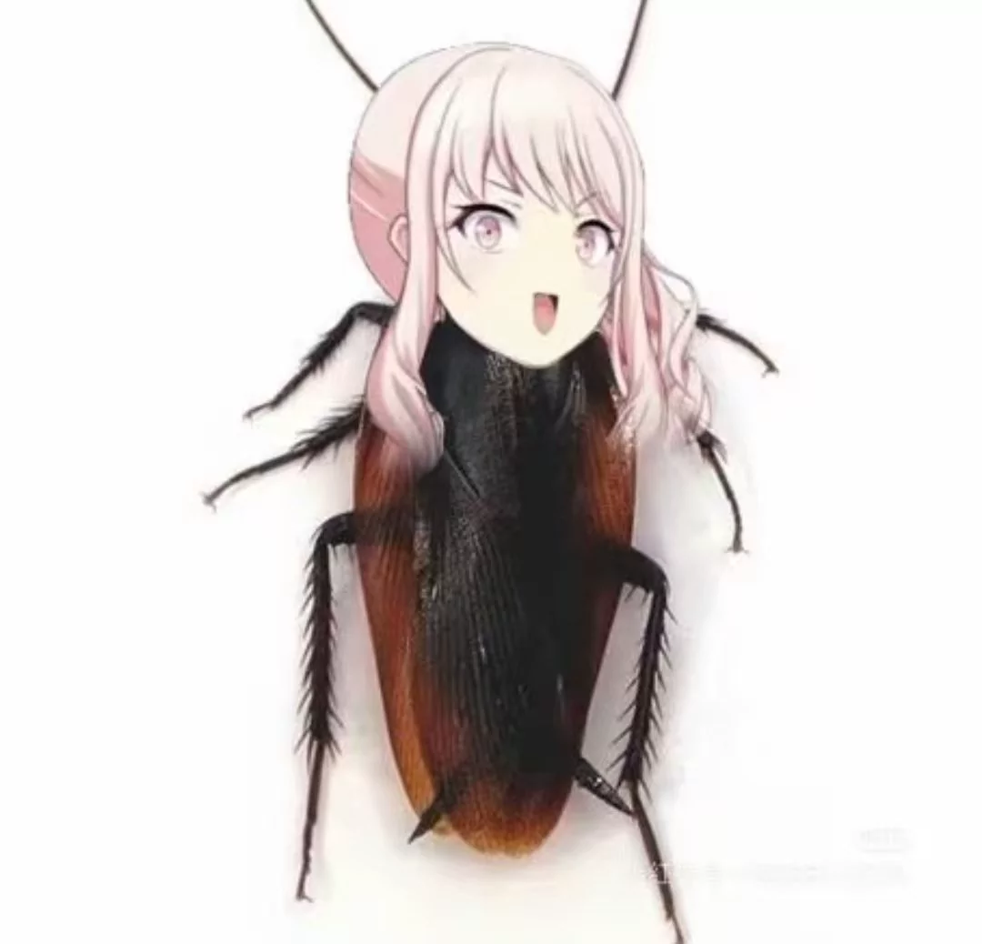 25点，蟑螂见_图3