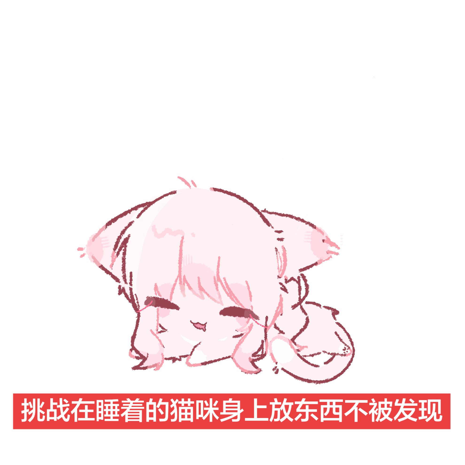 *你惊扰了一只小猫_图3