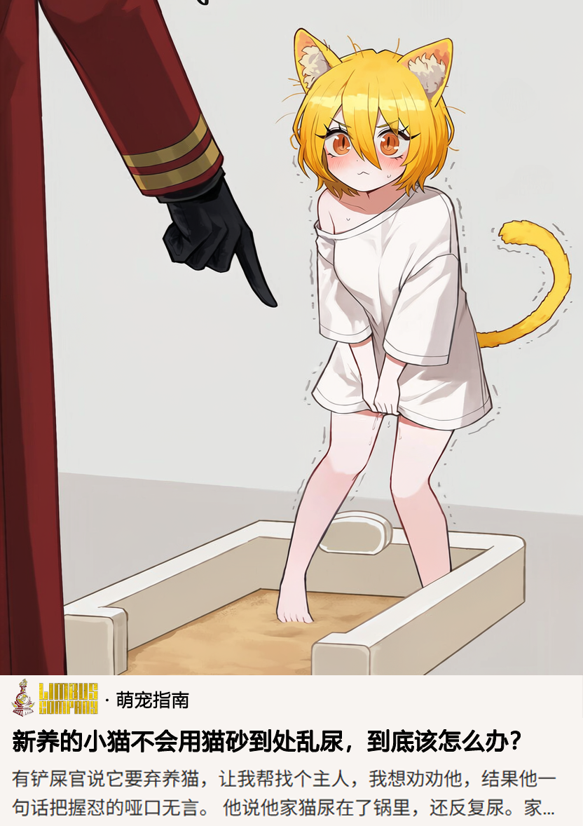 这只小猫太笨了 不要了 准备送人_图1