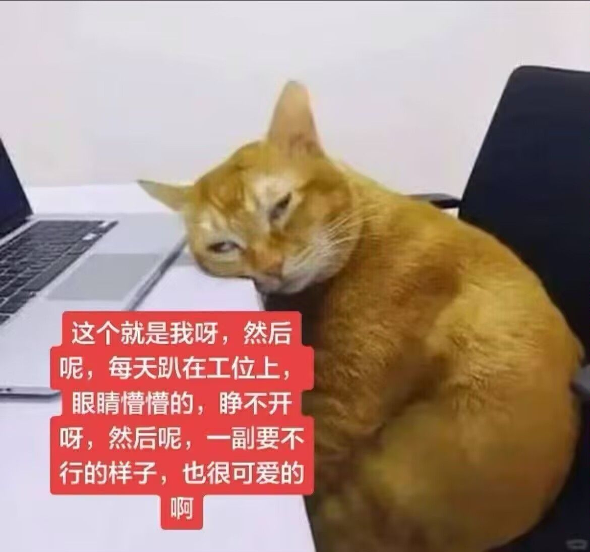 一次神秘测试_图2