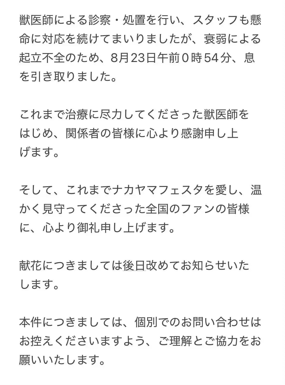 晚安 中山庆典_图2