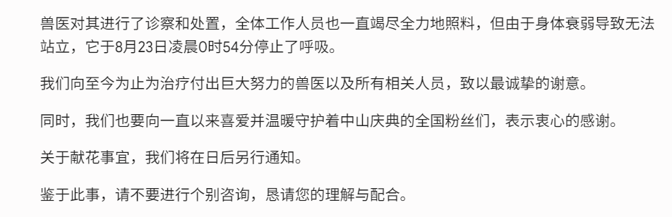 晚安 中山庆典_图2