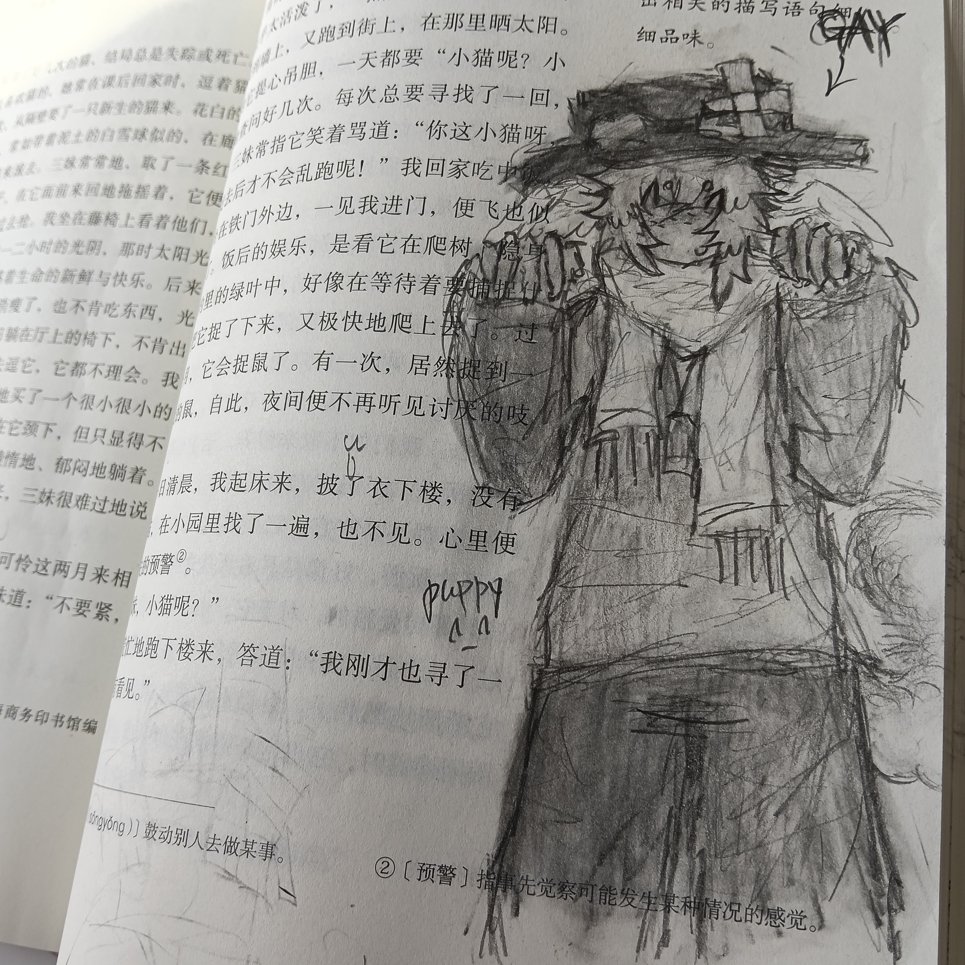 我都懶的要死_图3